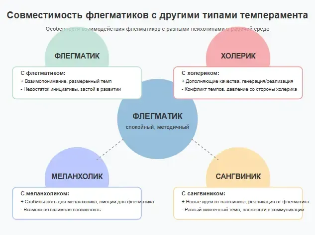 профессии флегматика и другие теспераменты